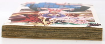 Manga Comic MagisNegi Magi Band 27 von Ken Akamatsu Unteransicht